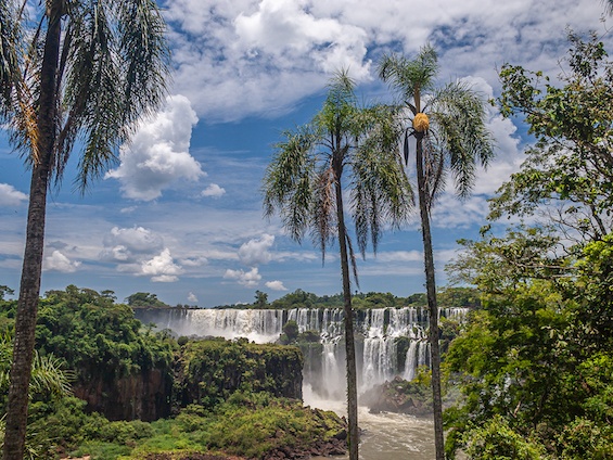 Galería Iguazú National Park 565x424